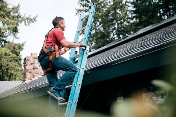 Best Roof Moss and Algae Removal  in Sun Lakes, AZ